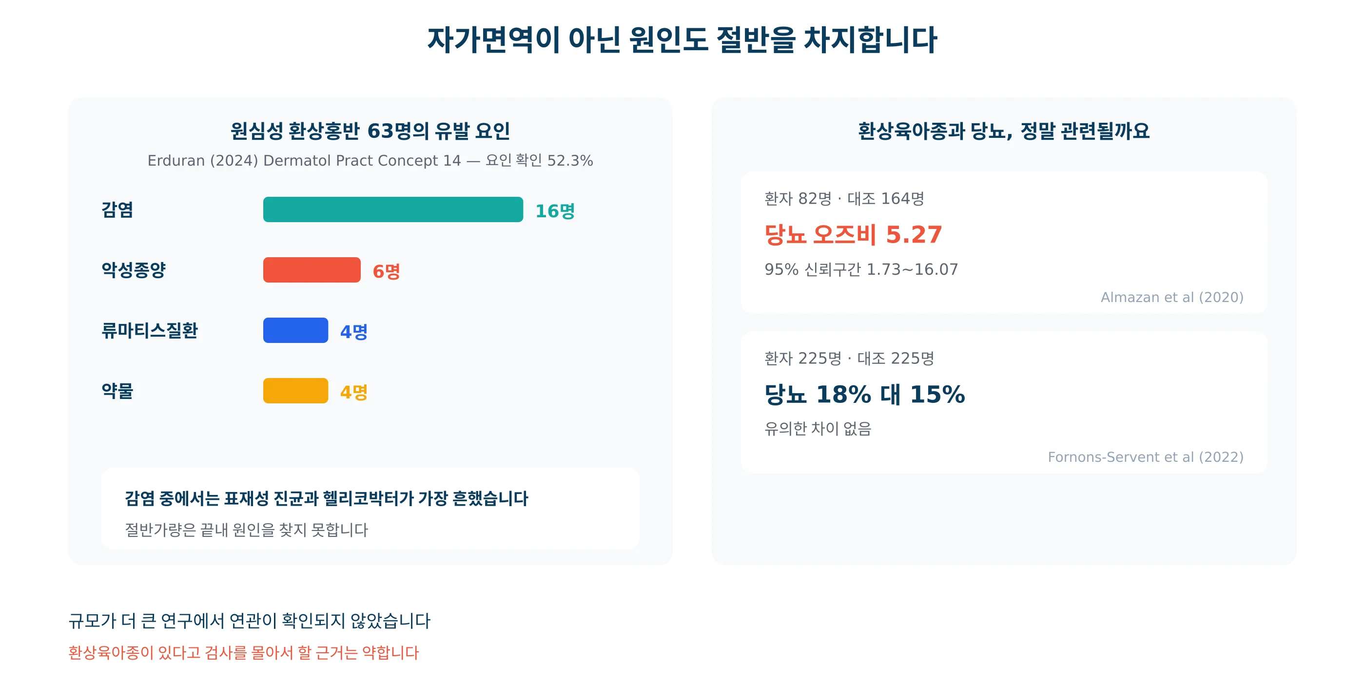 환상홍반을 만드는 여러 원인과 각각의 유발 요인을 정리한 그래프