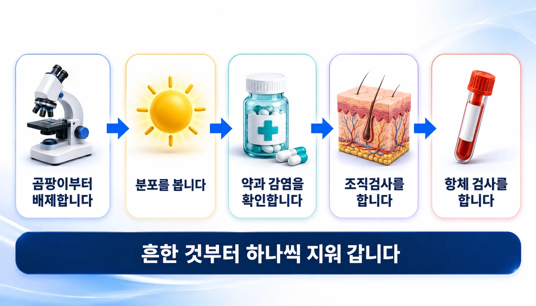 환상홍반을 구분하는 검사 순서를 그린 그림
