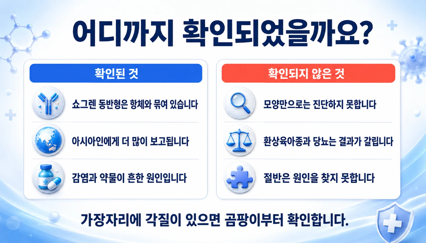환상홍반 감별에서 확인된 것과 확인되지 않은 것을 두 칸으로 정리한 그림