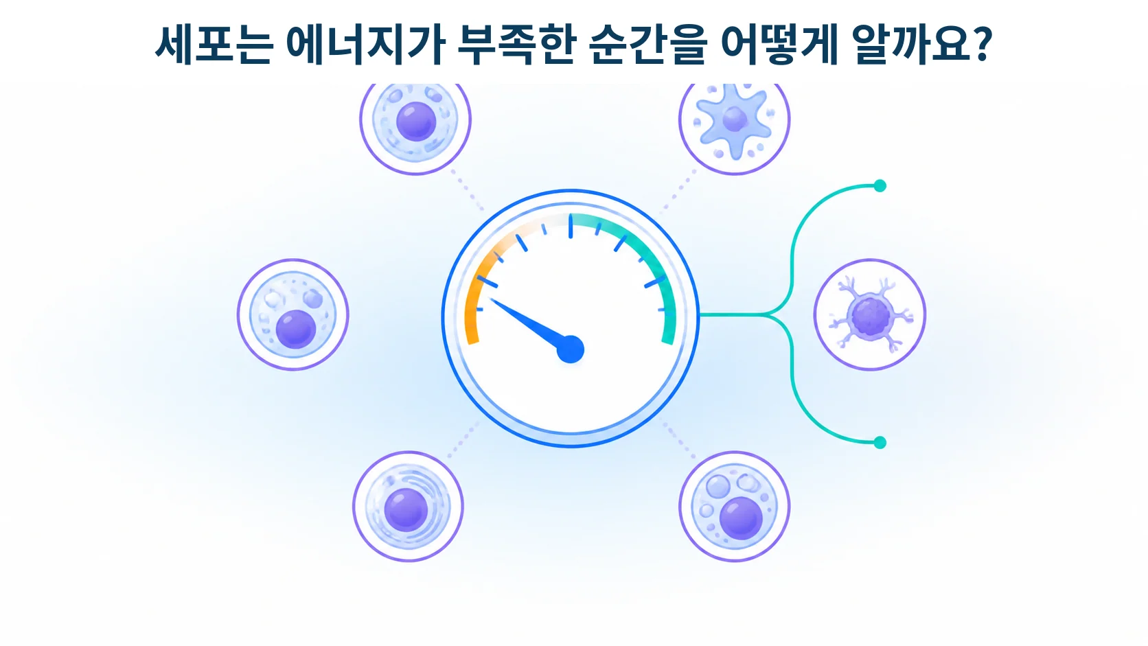연료 계기판의 바늘이 낮은 쪽으로 내려간 모습으로 세포의 에너지 부족 신호를 형상화한 개념 그림