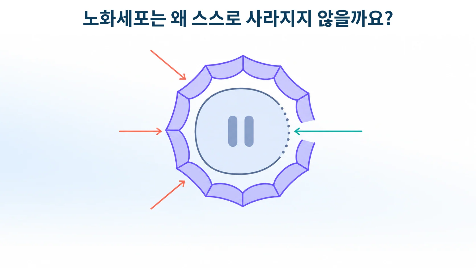 죽지 않도록 방어막을 두른 세포를 형상화한 개념 그림