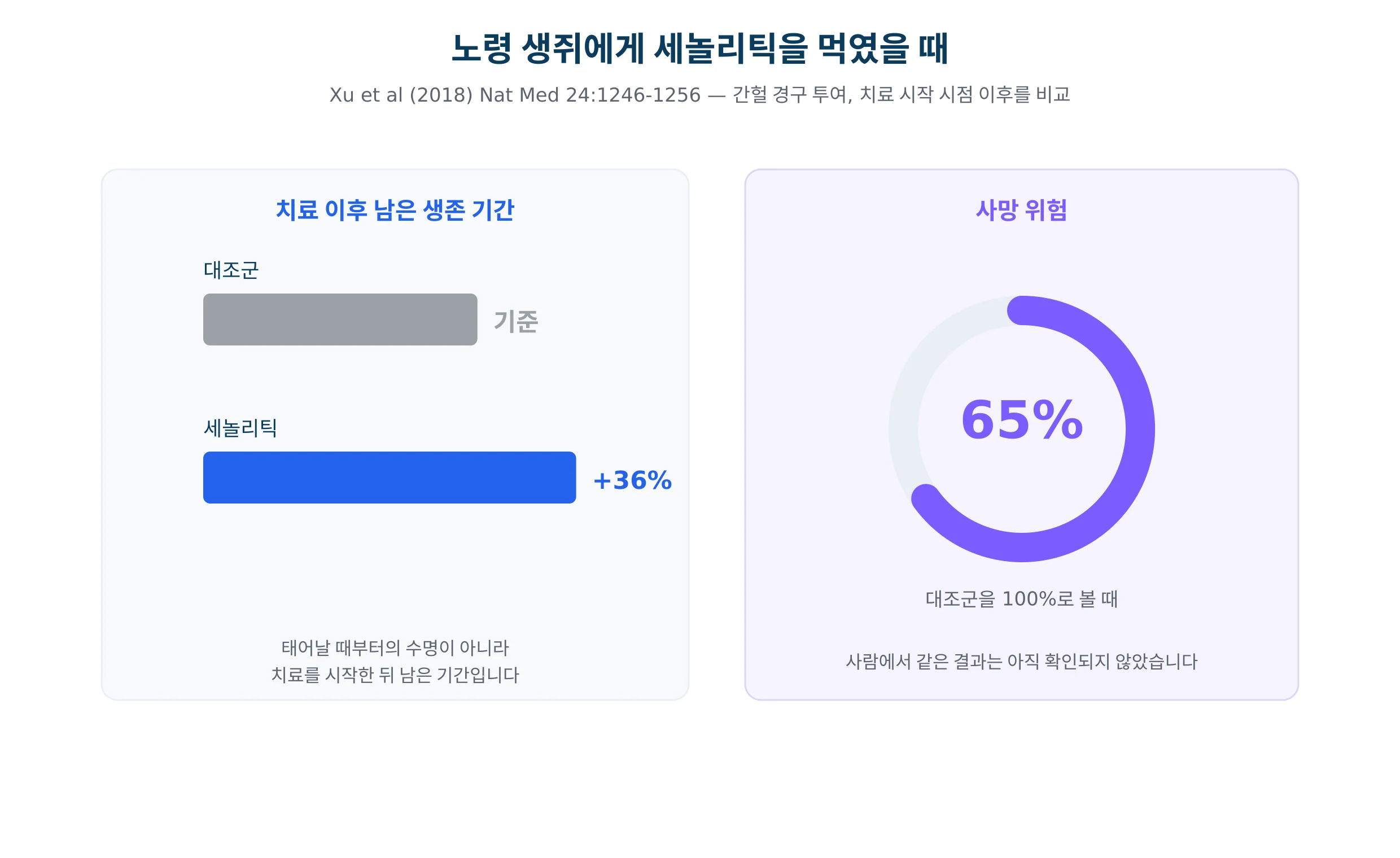 세놀리틱을 먹인 노령 생쥐에서 치료 후 생존이 얼마나 늘었는지 그린 그래프
