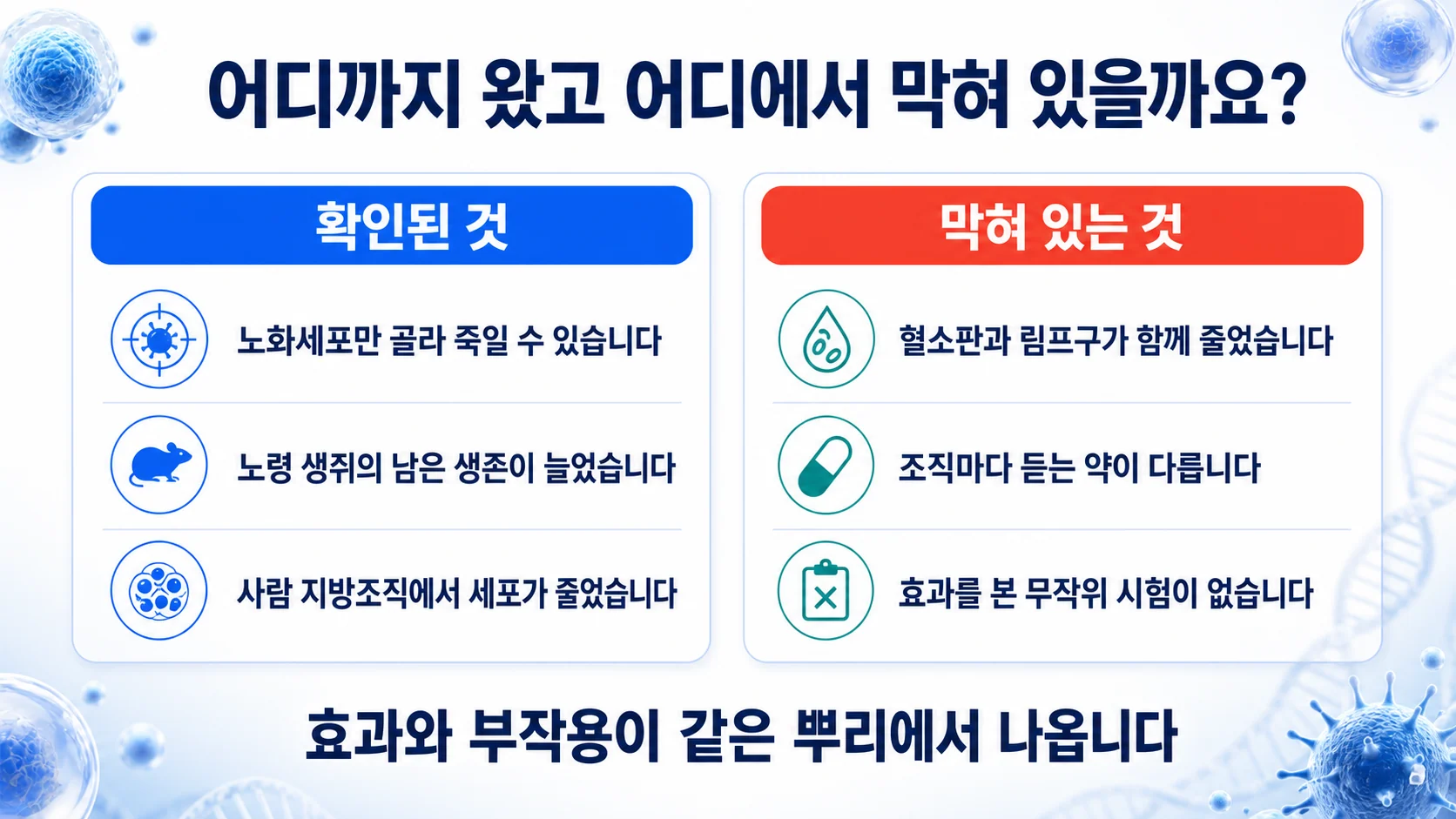 세놀리틱 접근에서 확인된 것과 아직 확인되지 않은 것을 두 칸으로 정리한 그림