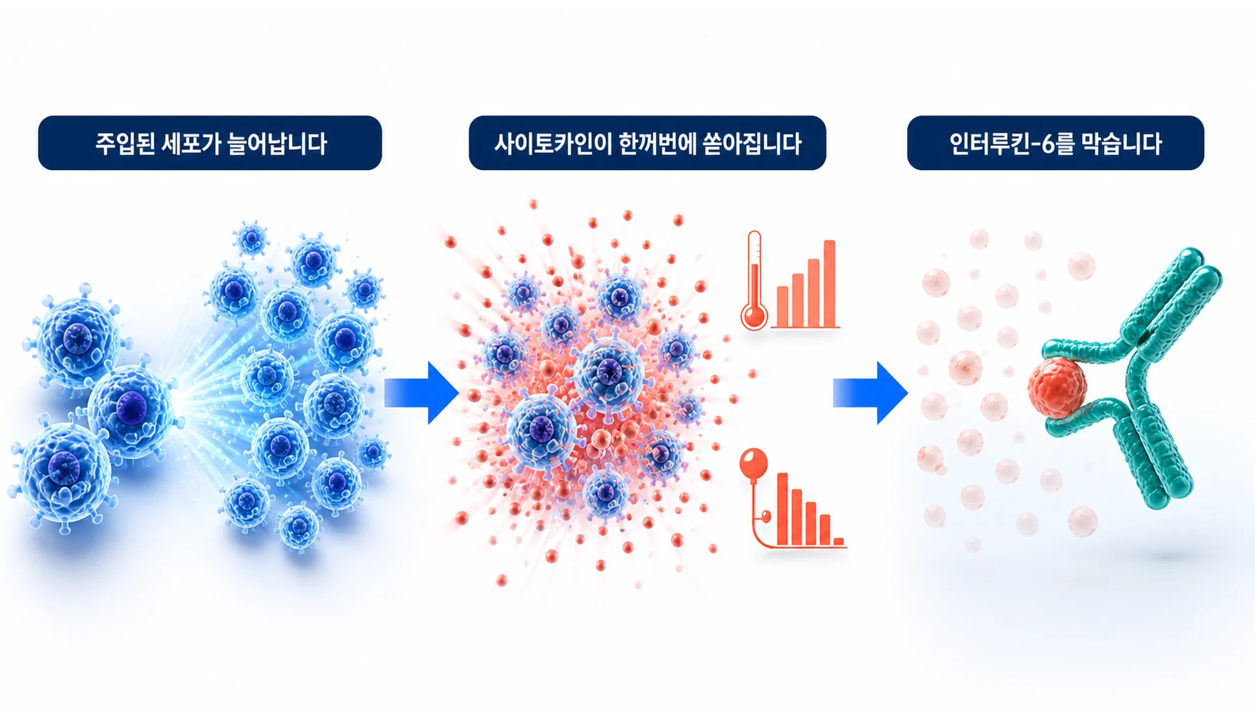 사이토카인 방출 증후군이 생기는 과정과 대응을 그린 그림