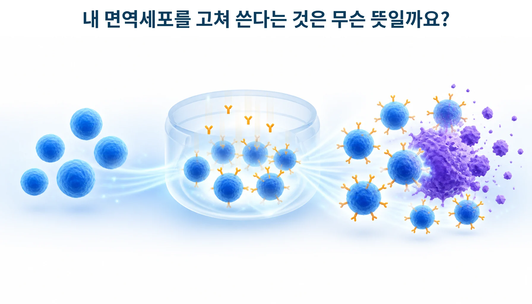CAR-T 세포치료: 혈액암·자가면역질환 연구와 주요 이상반응