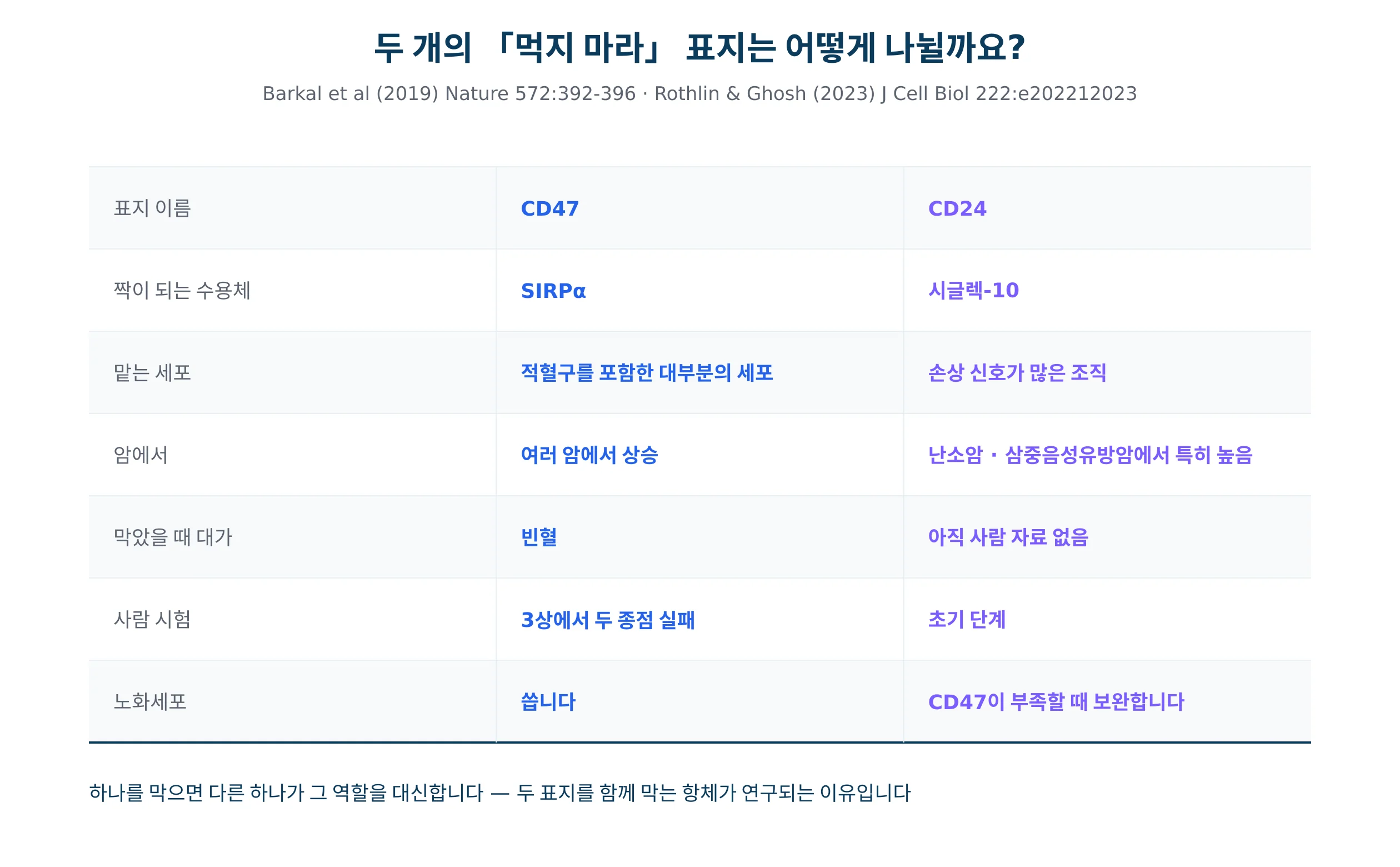 CD47과 CD24 두 표지의 특징을 항목별로 비교한 표