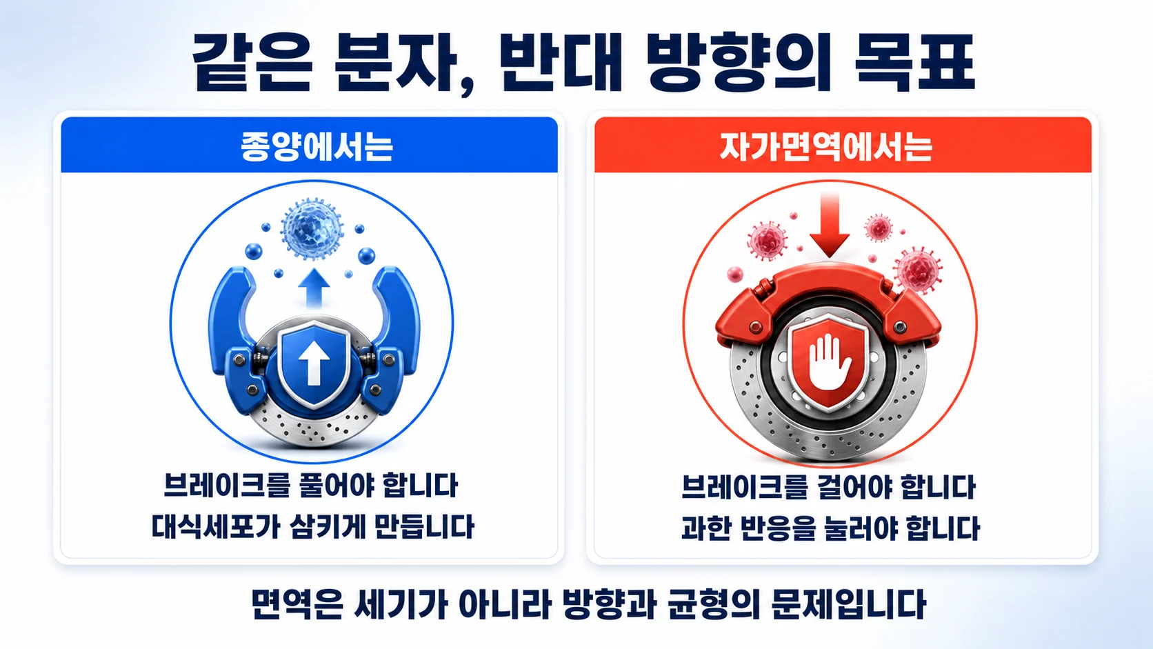 같은 분자를 두고 종양과 자가면역에서 반대 방향의 목표를 갖는 관계를 그린 그림