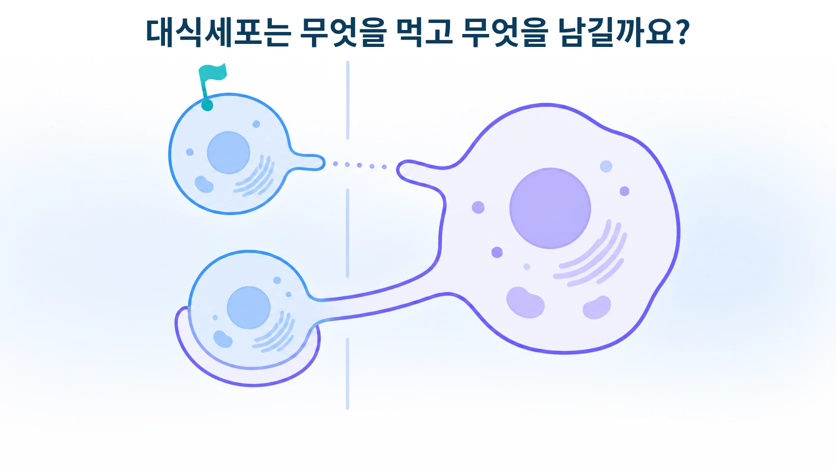 세포 표면의 표지 하나가 청소를 막고 있는 모습을 형상화한 개념 그림