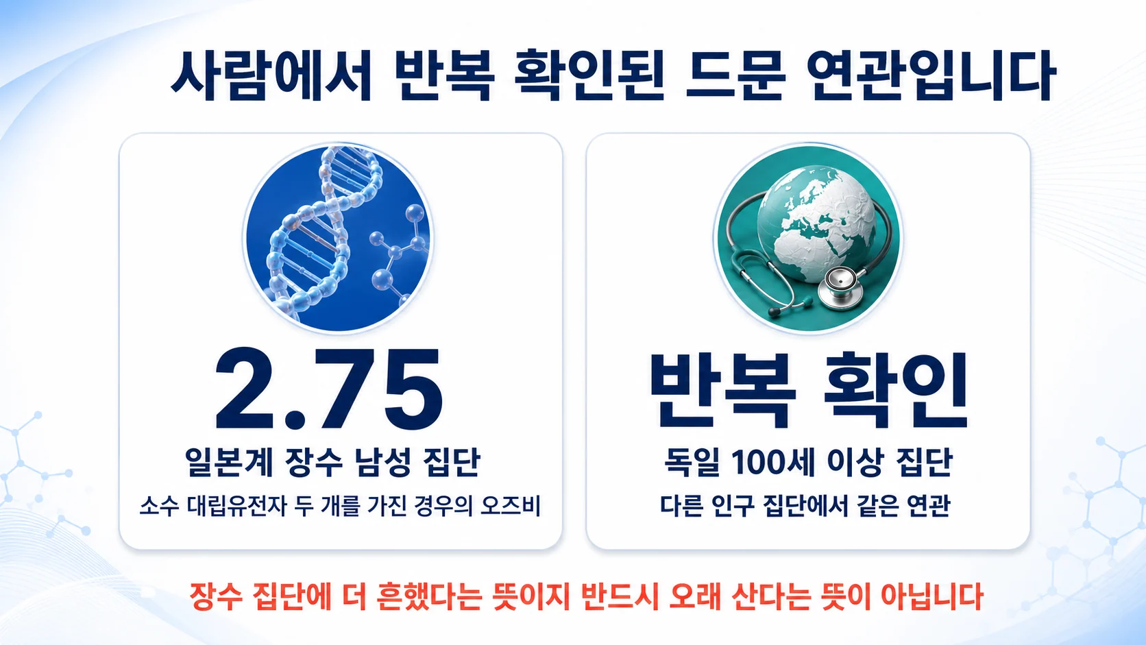 FOXO3 유전형에 따른 장수 연관성을 두 연구에서 비교한 그래프