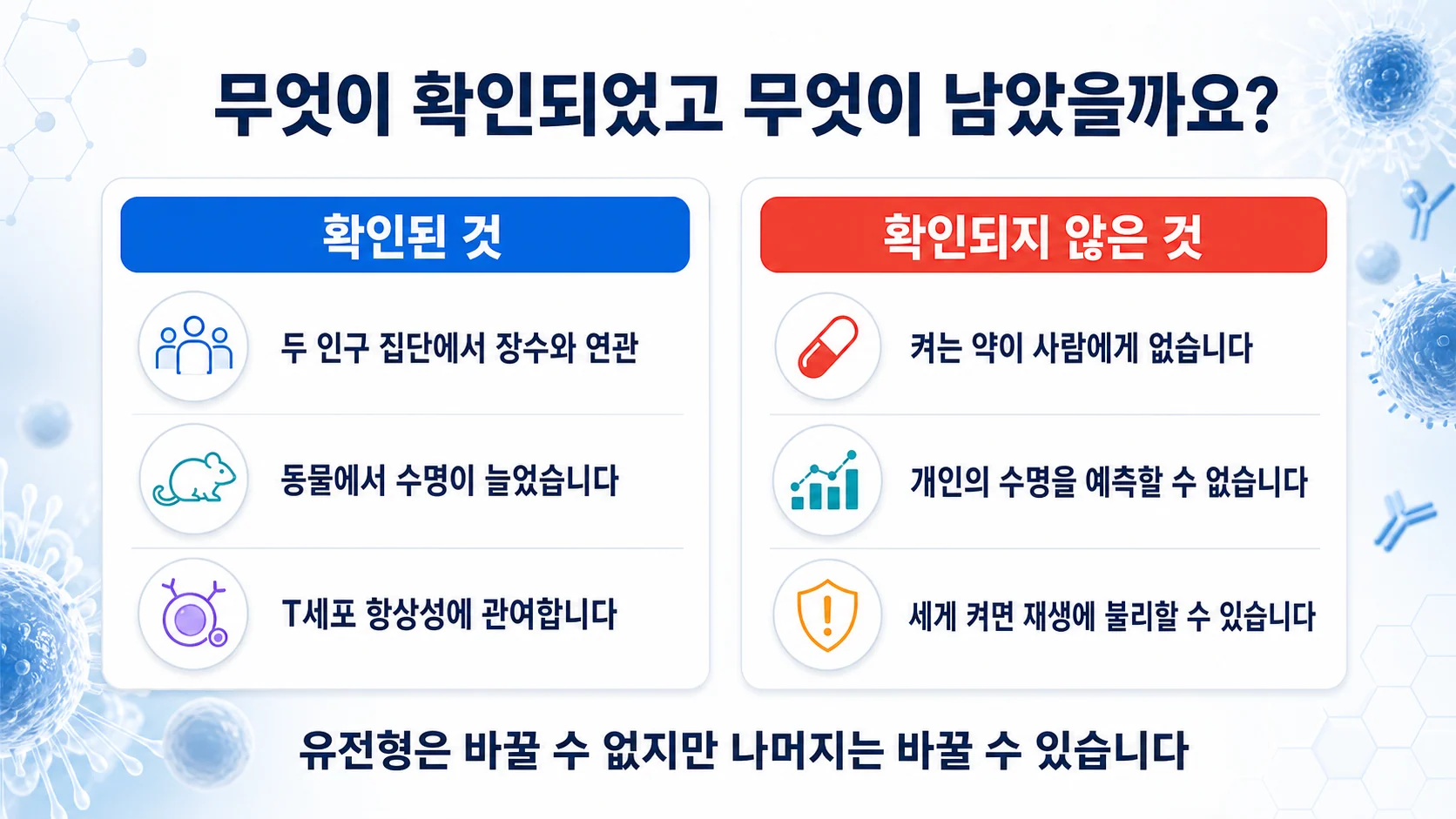 FOXO에 대해 확인된 것과 확인되지 않은 것을 두 칸으로 정리한 그림