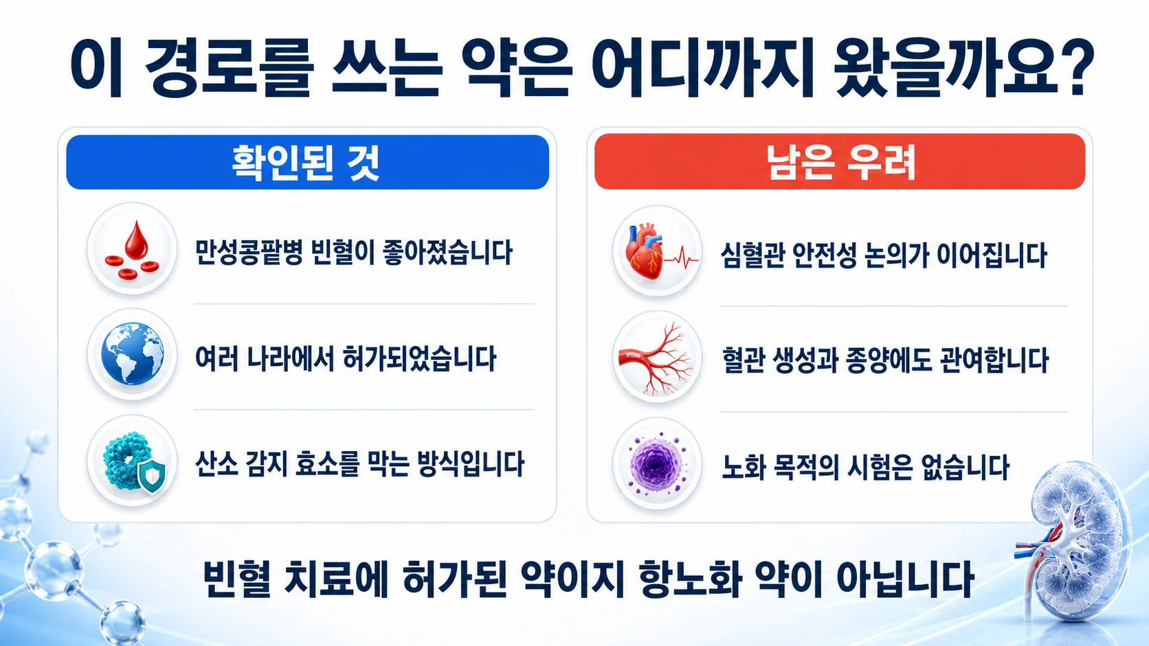 저산소 경로를 이용한 빈혈 치료제의 이득과 우려를 정리한 그림