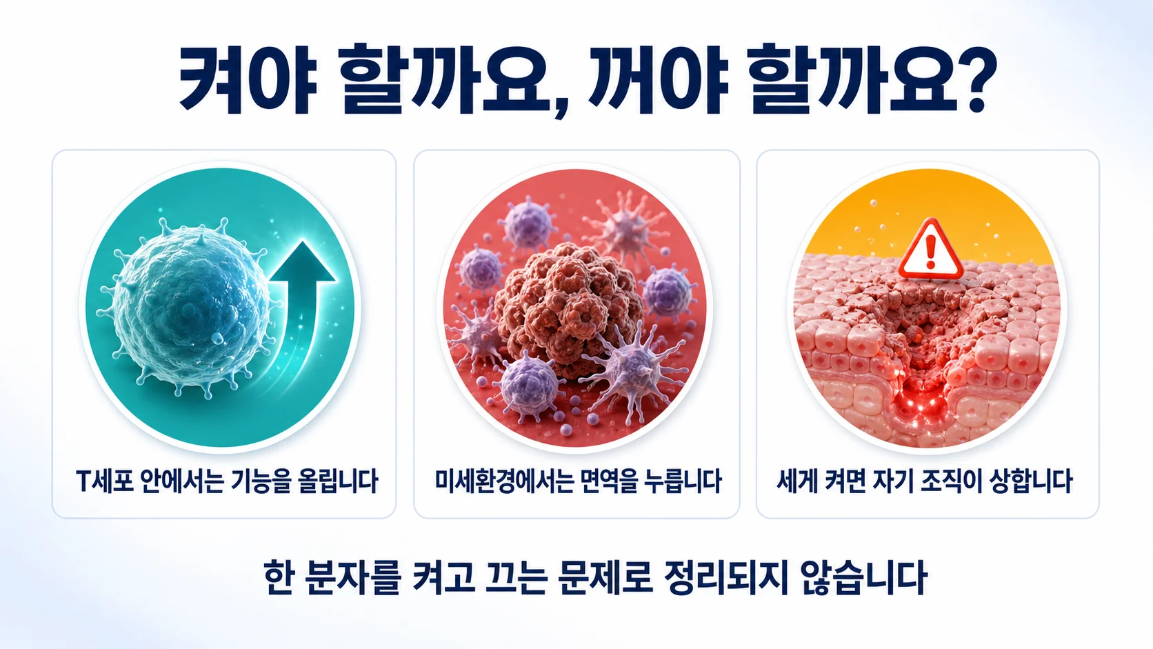 HIF-1α에 대해 확인된 것과 확인되지 않은 것을 두 칸으로 정리한 그림