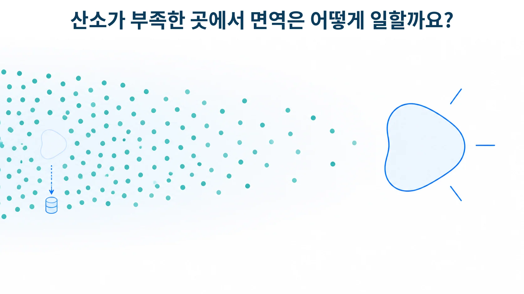 HIF-1α와 저산소: 면역세포의 대사와 종양 환경은 어떻게 달라질까요?