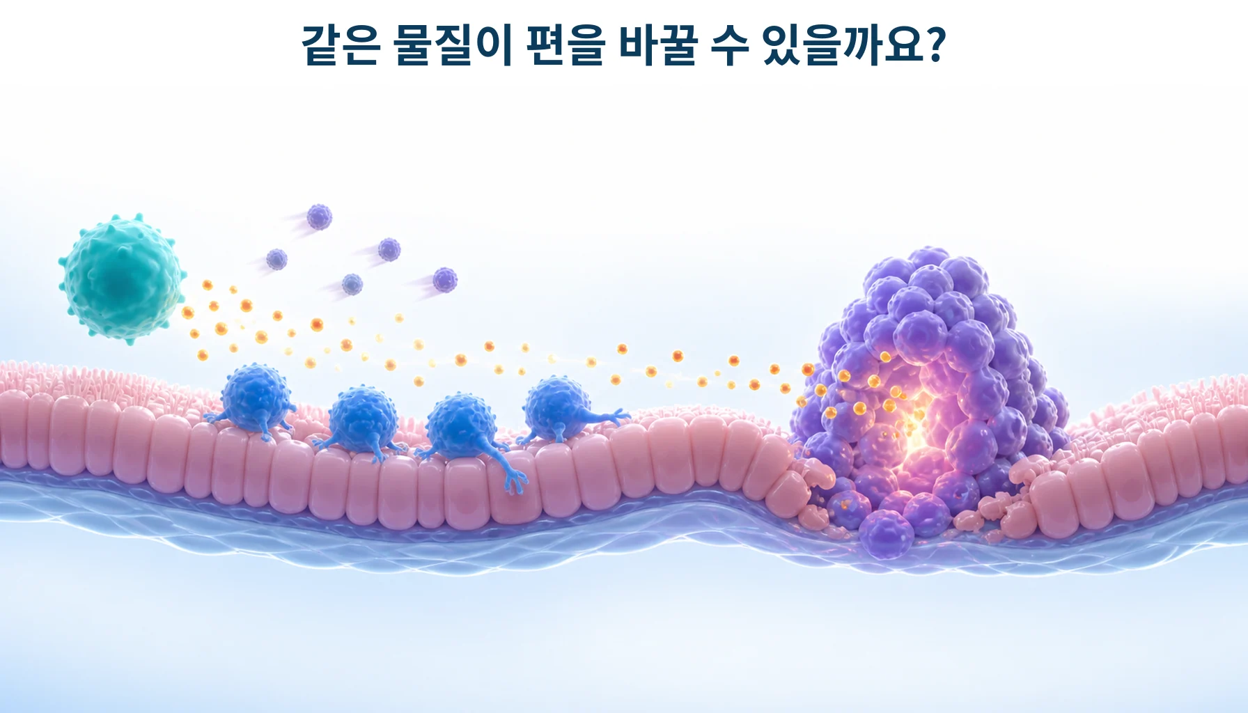 점막을 지키는 물질이 종양에서는 반대로 작동하는 모습을 형상화한 개념 그림