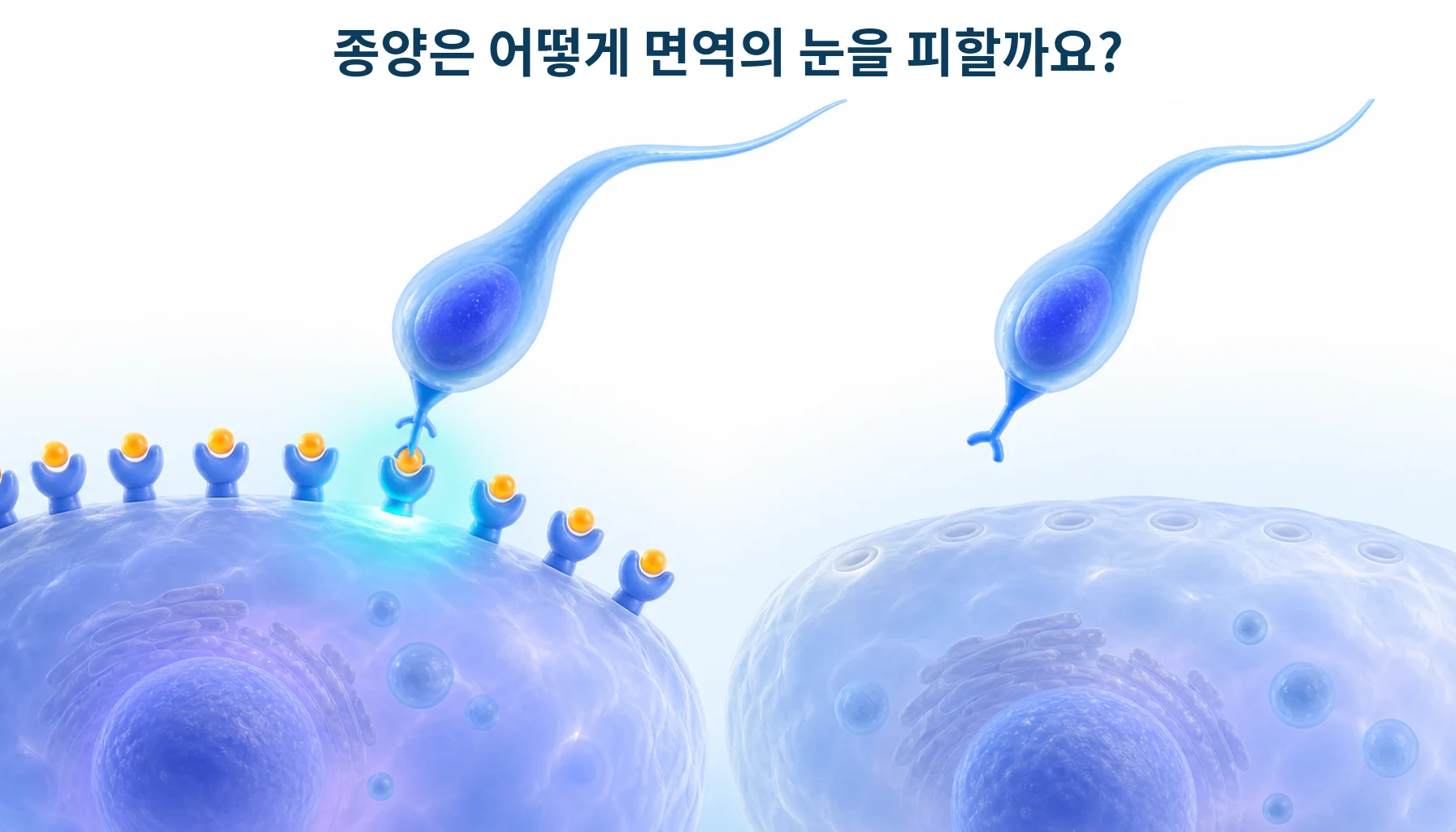 MHC 1형과 HLA 소실: 종양의 항원 제시와 면역 회피