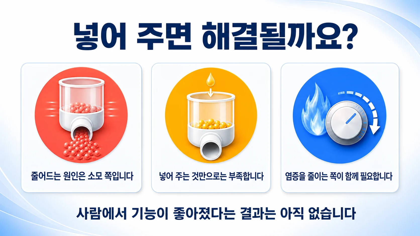 NAD 보충에 대해 확인된 것과 확인되지 않은 것을 두 칸으로 정리한 그림