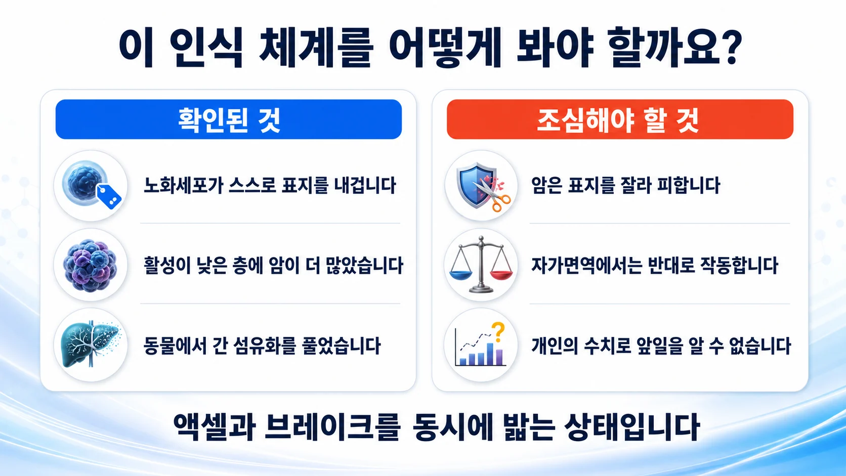 NKG2D 인식 체계에 대해 확인된 것과 조심할 것을 두 칸으로 정리한 그림