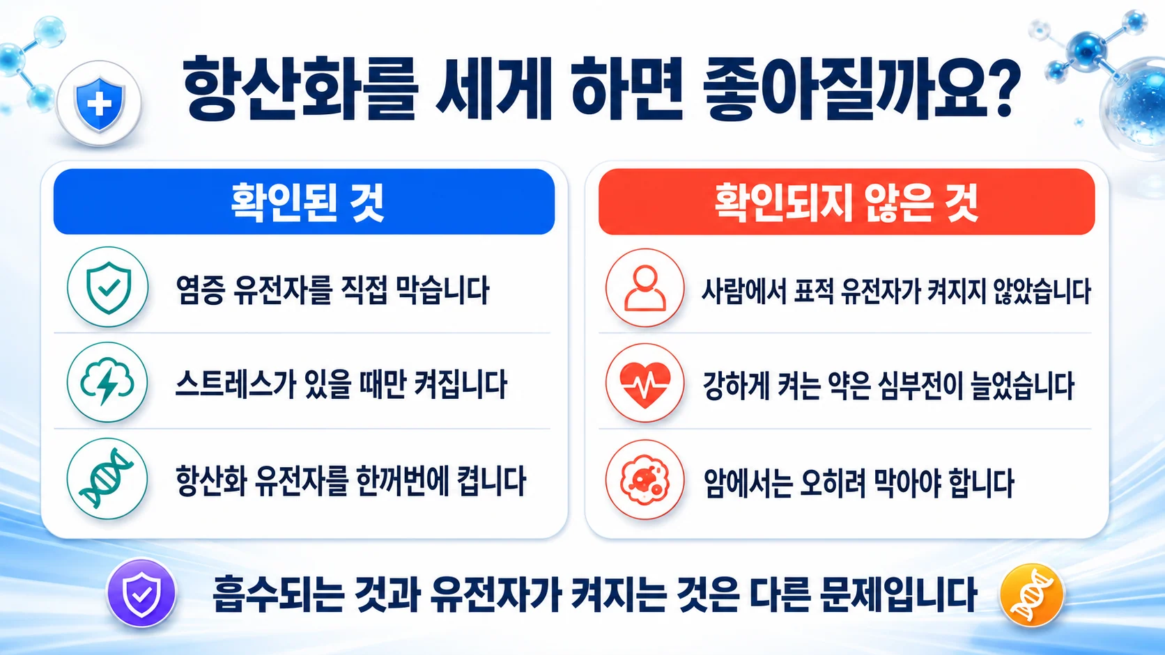 Nrf2에 대해 확인된 것과 확인되지 않은 것을 두 칸으로 정리한 그림