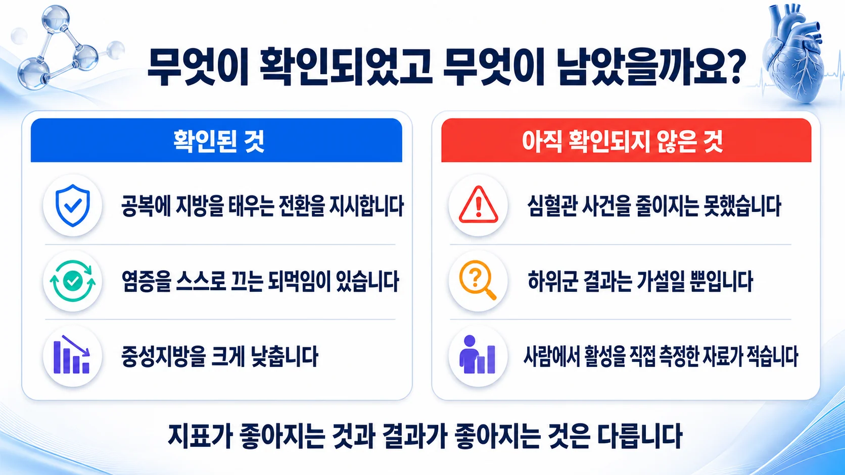 PPARα에 대해 확인된 것과 아직 확인되지 않은 것을 두 칸으로 정리한 그림