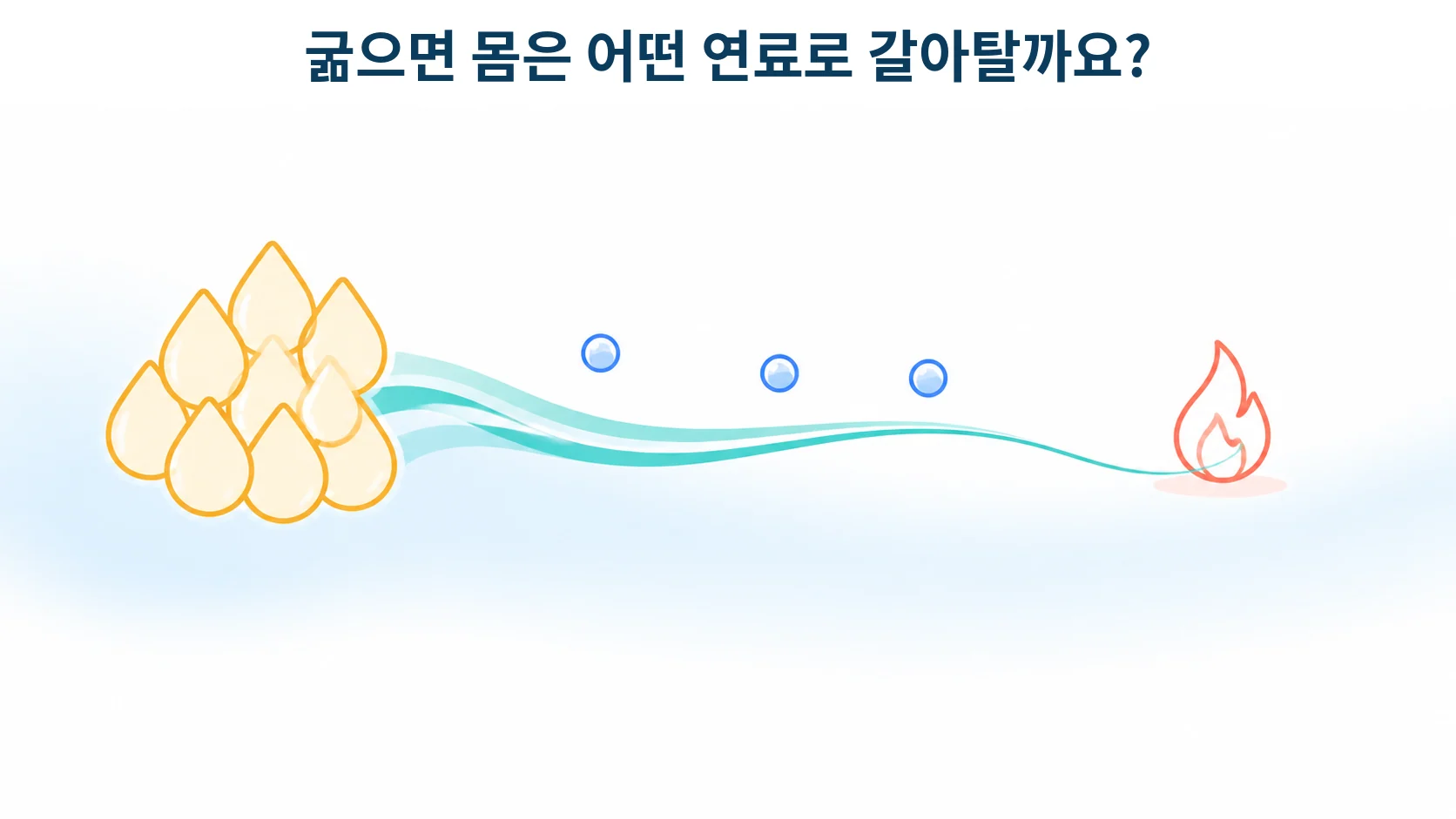 PPARα, 굶었을 때 지방을 태우라고 지시하는 수용체