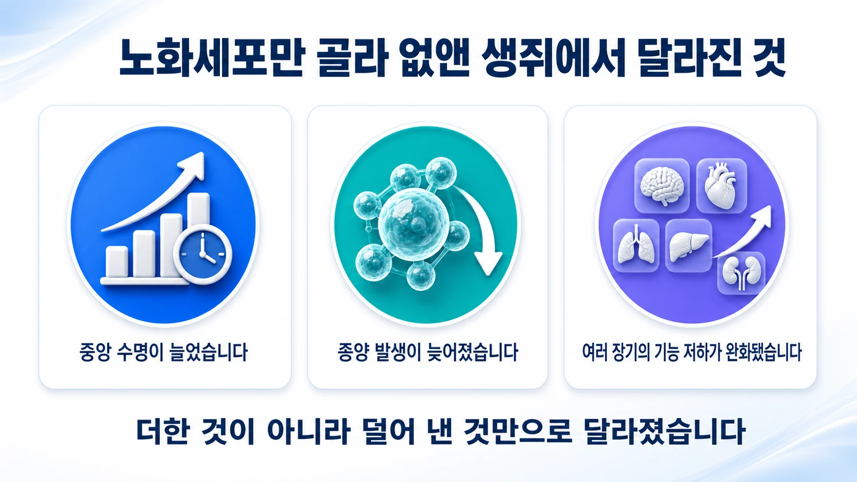 노화세포를 골라 없앤 생쥐에서 나타난 세 가지 변화를 정리한 그림