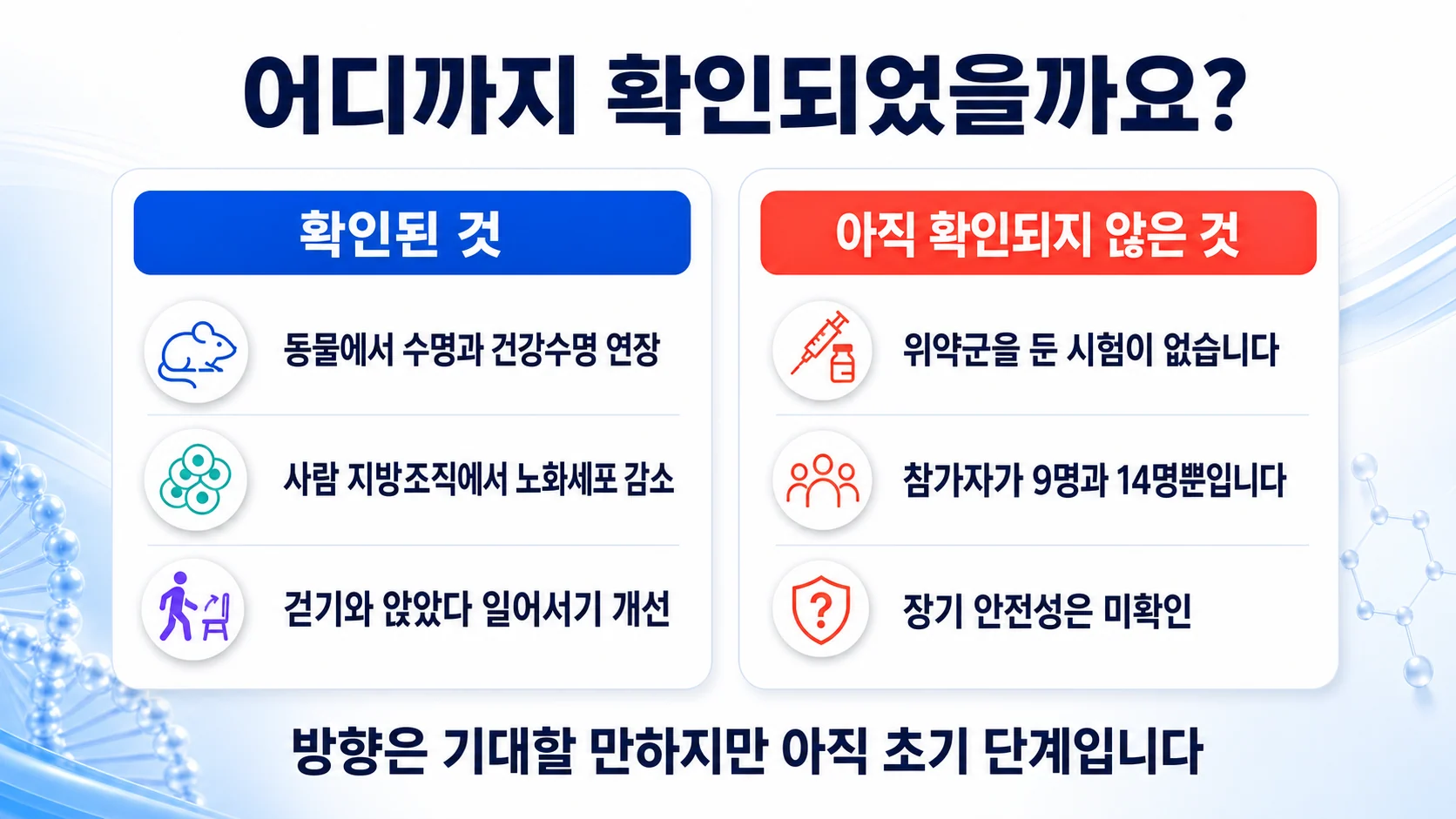 노화세포를 없애는 치료에서 확인된 것과 아직 확인되지 않은 것을 두 칸으로 정리한 그림
