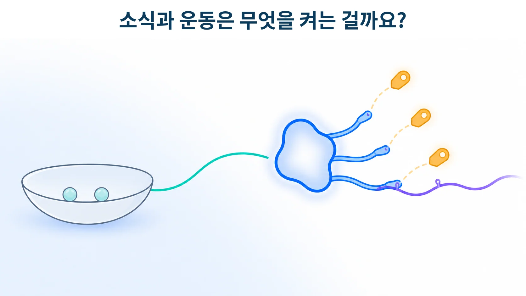 에너지가 부족할 때 켜지는 조절 효소를 형상화한 개념 그림