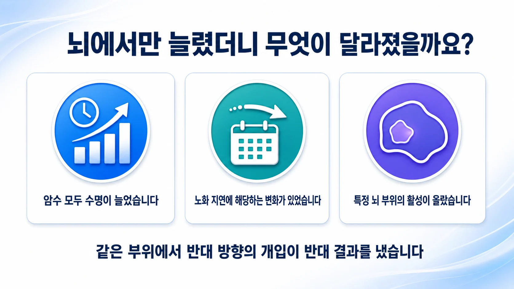 뇌 특이 SIRT1 과발현 생쥐에서 수명과 노화 지표가 달라진 결과를 정리한 그림