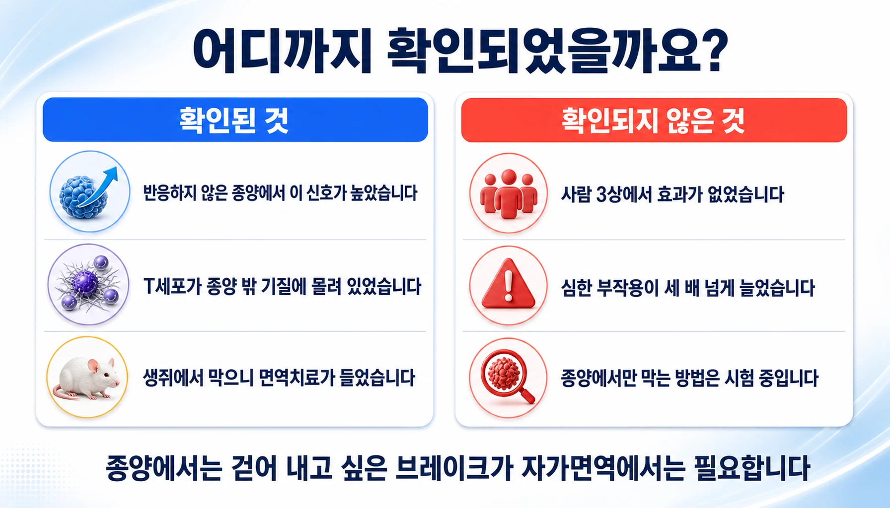 TGF-β를 막는 접근에서 확인된 것과 확인되지 않은 것을 두 칸으로 정리한 그림