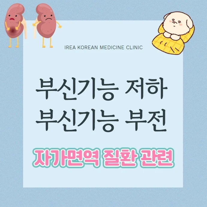 부신기능 부전 저하증 자가면역질환에 나타날 수 있습니다 #1