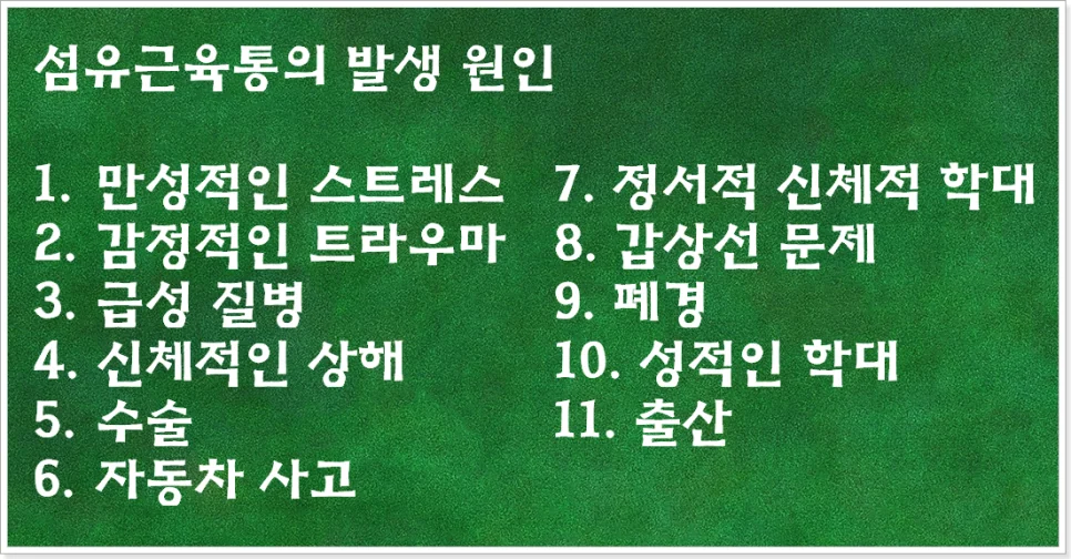 섬유근육통을 유발한 원인에 대한 설문 결과