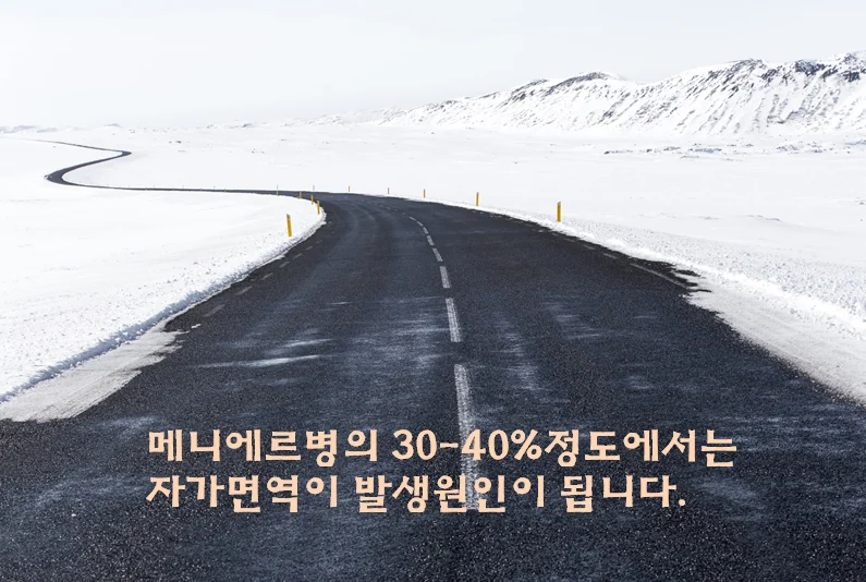감각신경성 난청의 원인 분포를 보여주는 설명 이미지