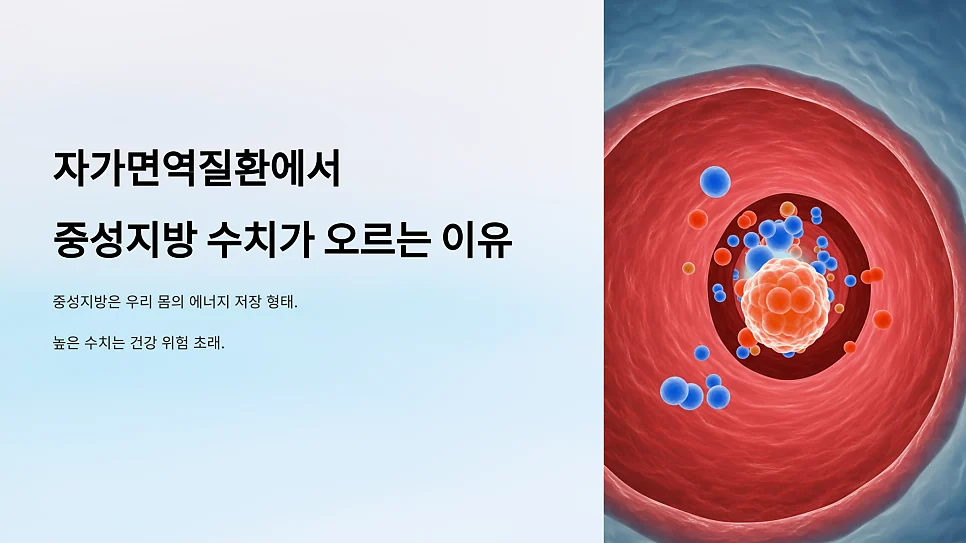 자가면역질환이 있을 때 중성지방 수치가 높아지는 이유 #1