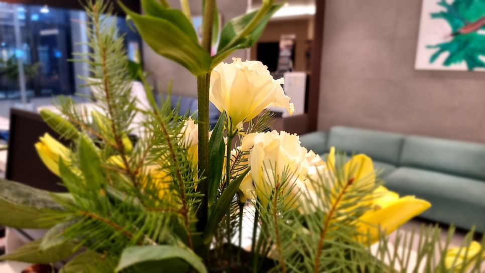 ANCA (항 호중구 세포질 항체) 양성의 의미와 자가면역질환