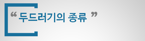 만성 두드러기와 자가면역질환