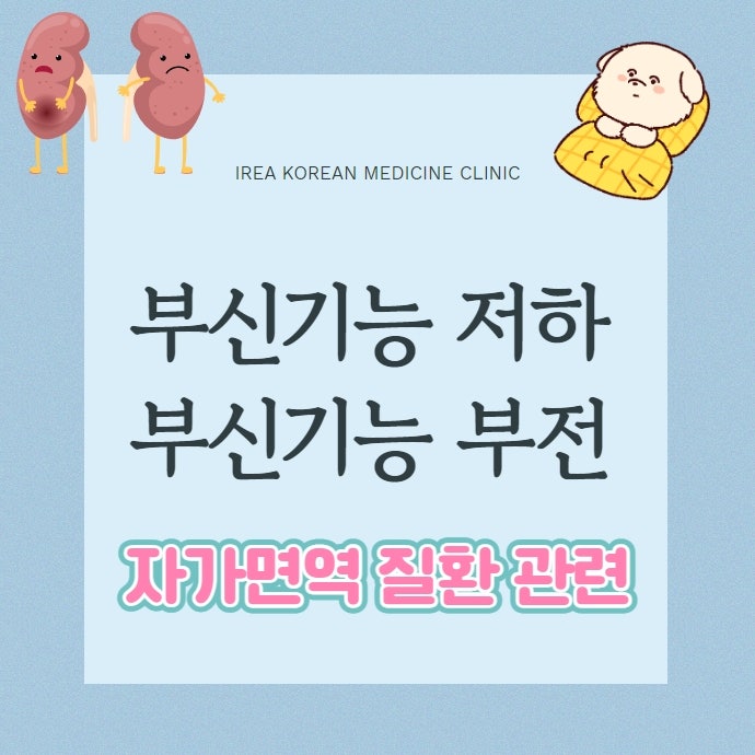 부신기능 부전 저하증 자가면역질환에 나타날 수 있습니다(애디슨병)