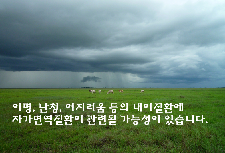 인천 어지러움 메니에르증후군은 자가면역질환 질환일 가능성이 있습니다.