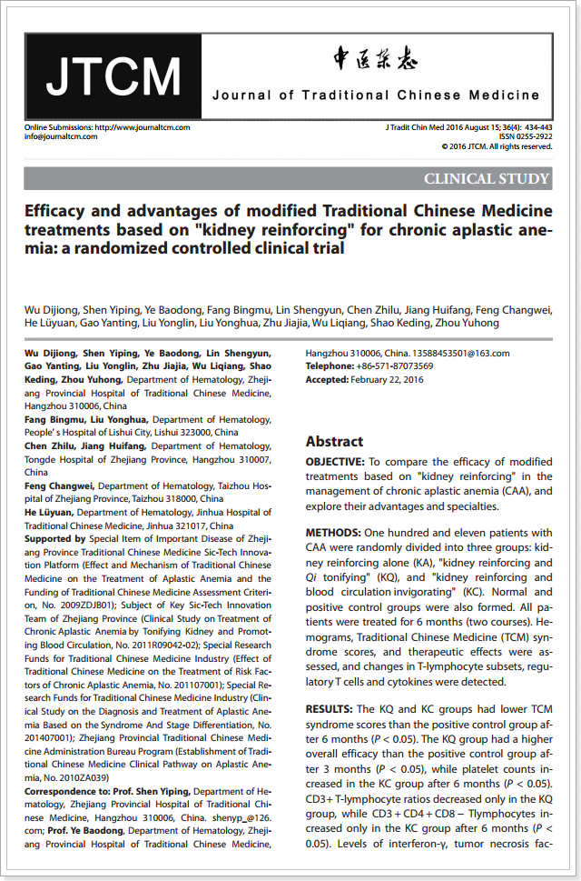 재생 불량성 빈혈에 대한 한약 치료 효과