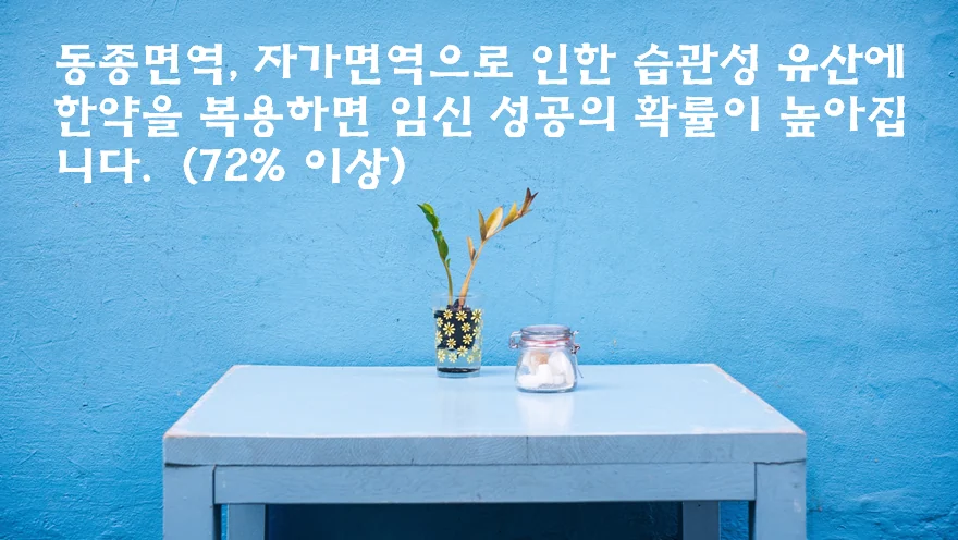 동종면역 자가면역으로 인한 습관성 유산의 한약 치료