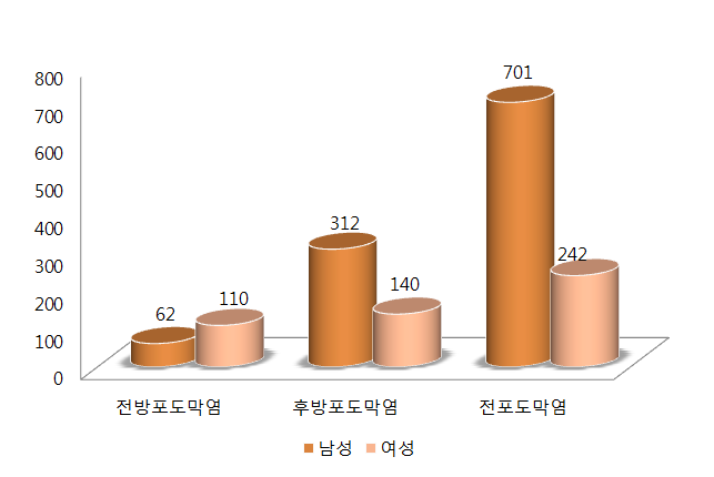 베체트병 포도막염의 부위별 발생 비율