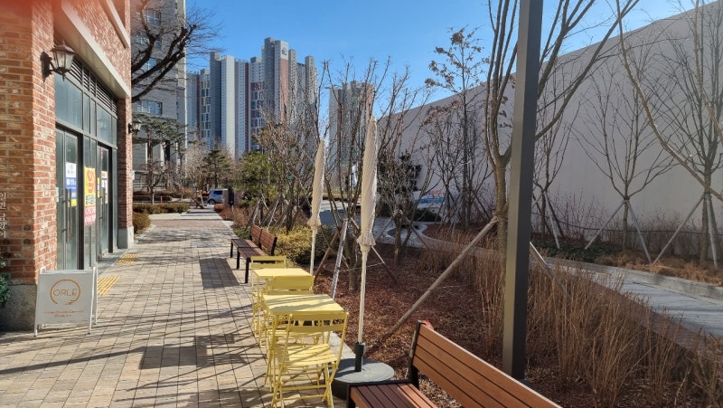 베체트병 안구 질환