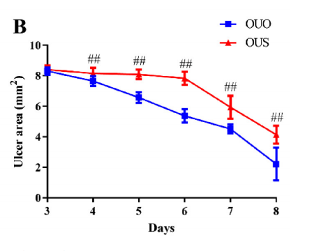 궤양 면적 비교