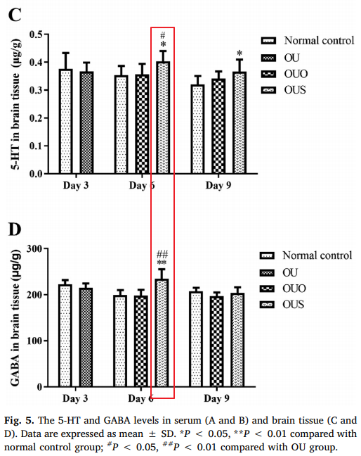 만성 구내염 치료