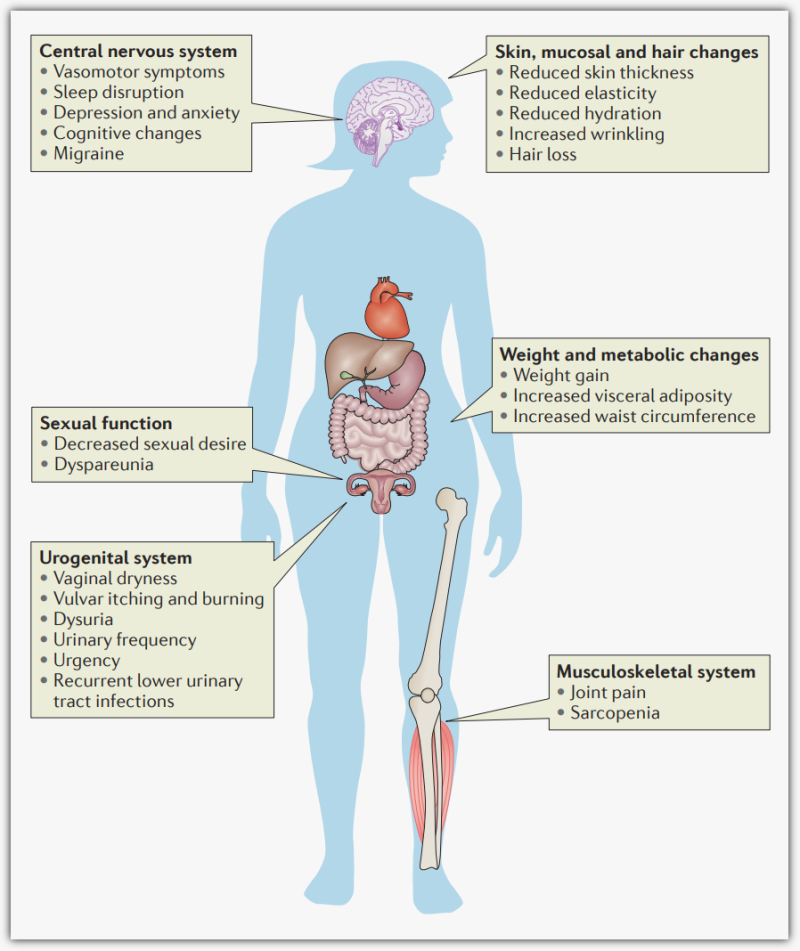 갱년기 증상 분류