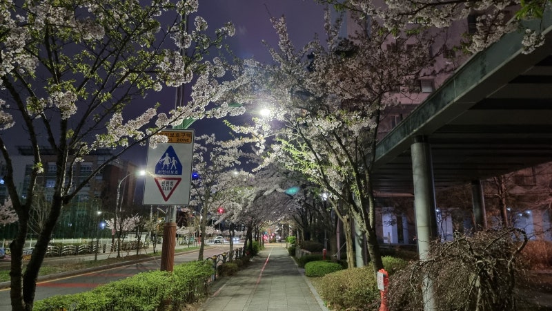 구강작열감증후군과 혀통증