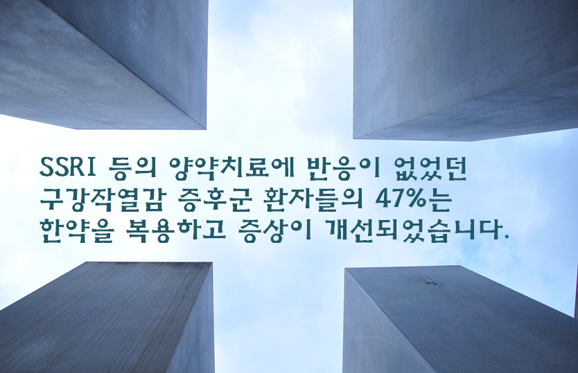 이미지 2