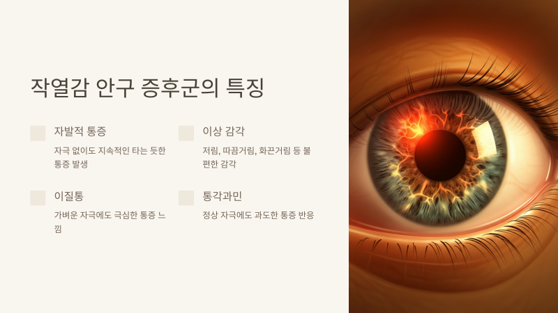 안구건조증과 BES의 차이