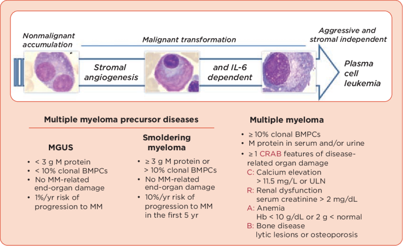 감별 진단 포인트