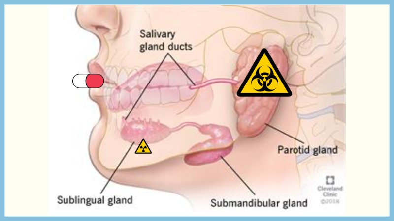 지연성 건조증 기전