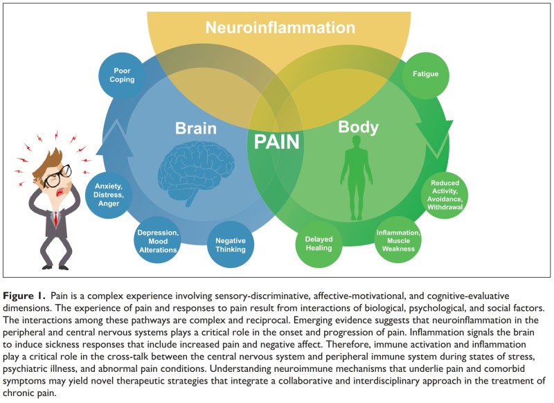 스트레스와 만성 통증